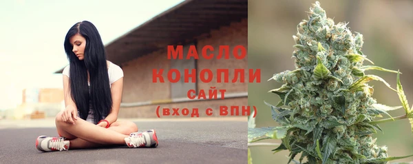 индика Белокуриха