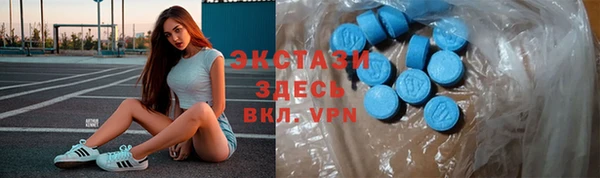 индика Белокуриха