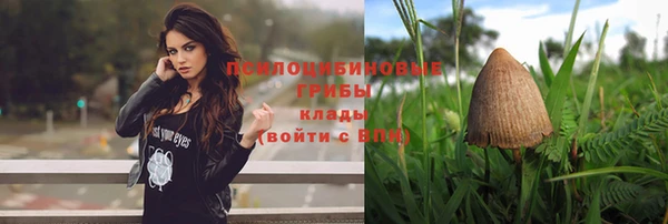 индика Белокуриха