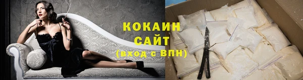 индика Белокуриха
