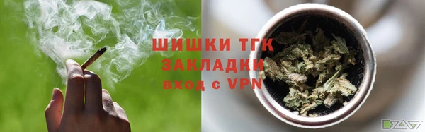 индика Белокуриха