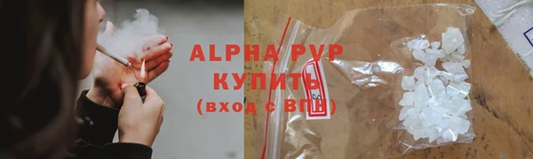 ПСИЛОЦИБИНОВЫЕ ГРИБЫ Дмитров