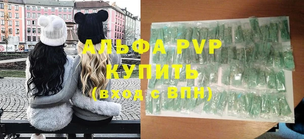 прущий лед Дмитриев