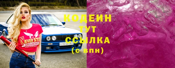 индика Белокуриха