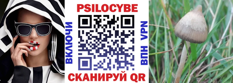 купить наркоту  Гороховец  Галлюциногенные грибы GOLDEN TEACHER 
