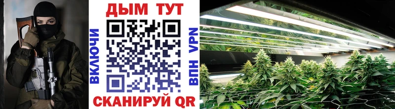 Каннабис планчик  купить   Гороховец 